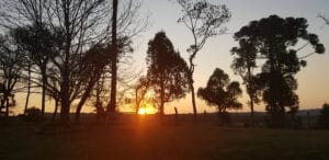 foto carrocel 6